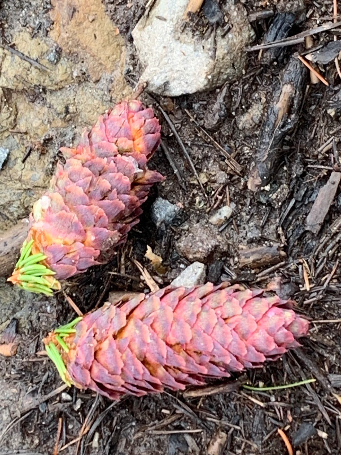 The Mosaic One - The Beanie - strikkeoppskrift