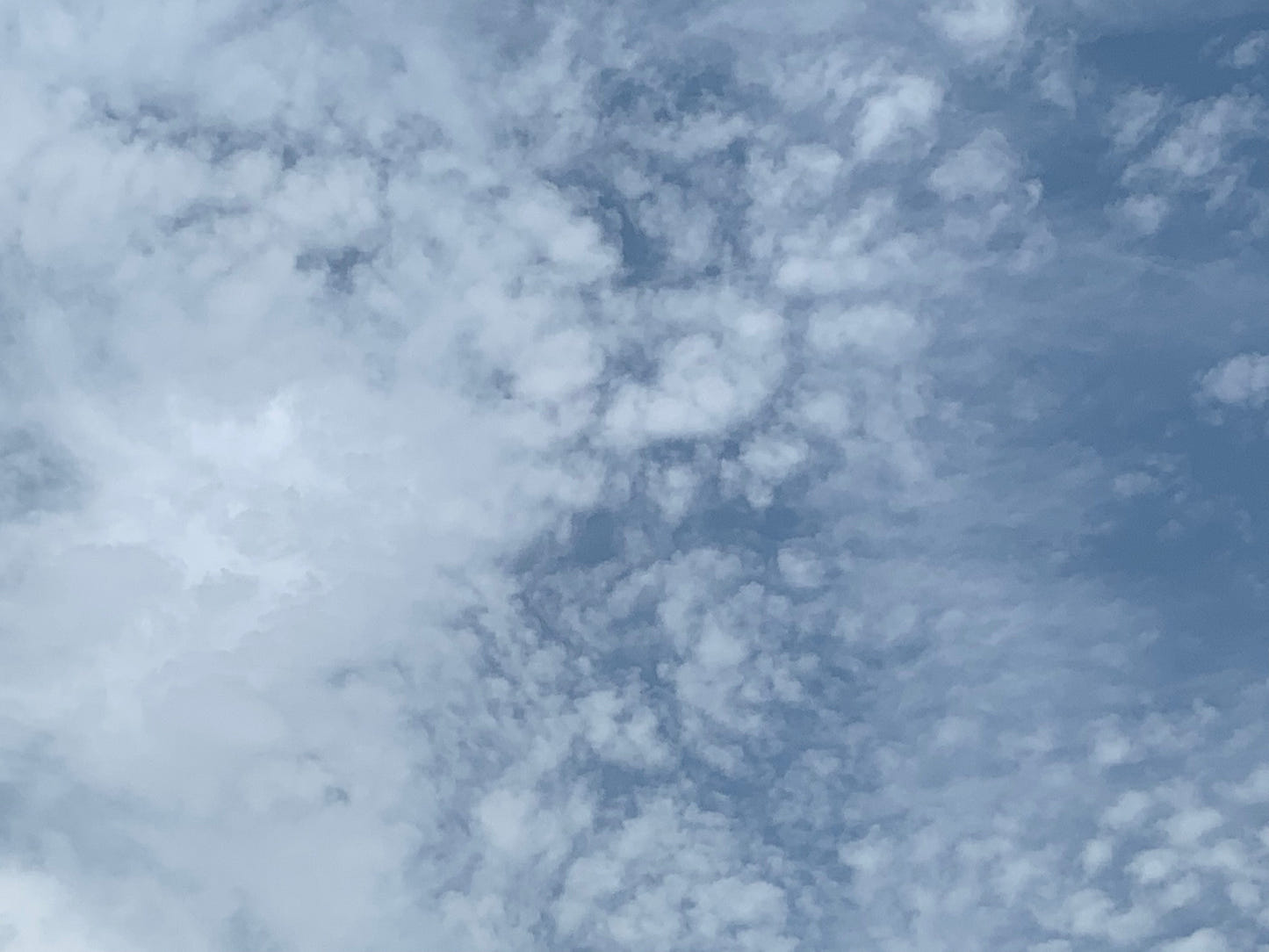 The CosyMonday Jacket - Strikkeoppskrift