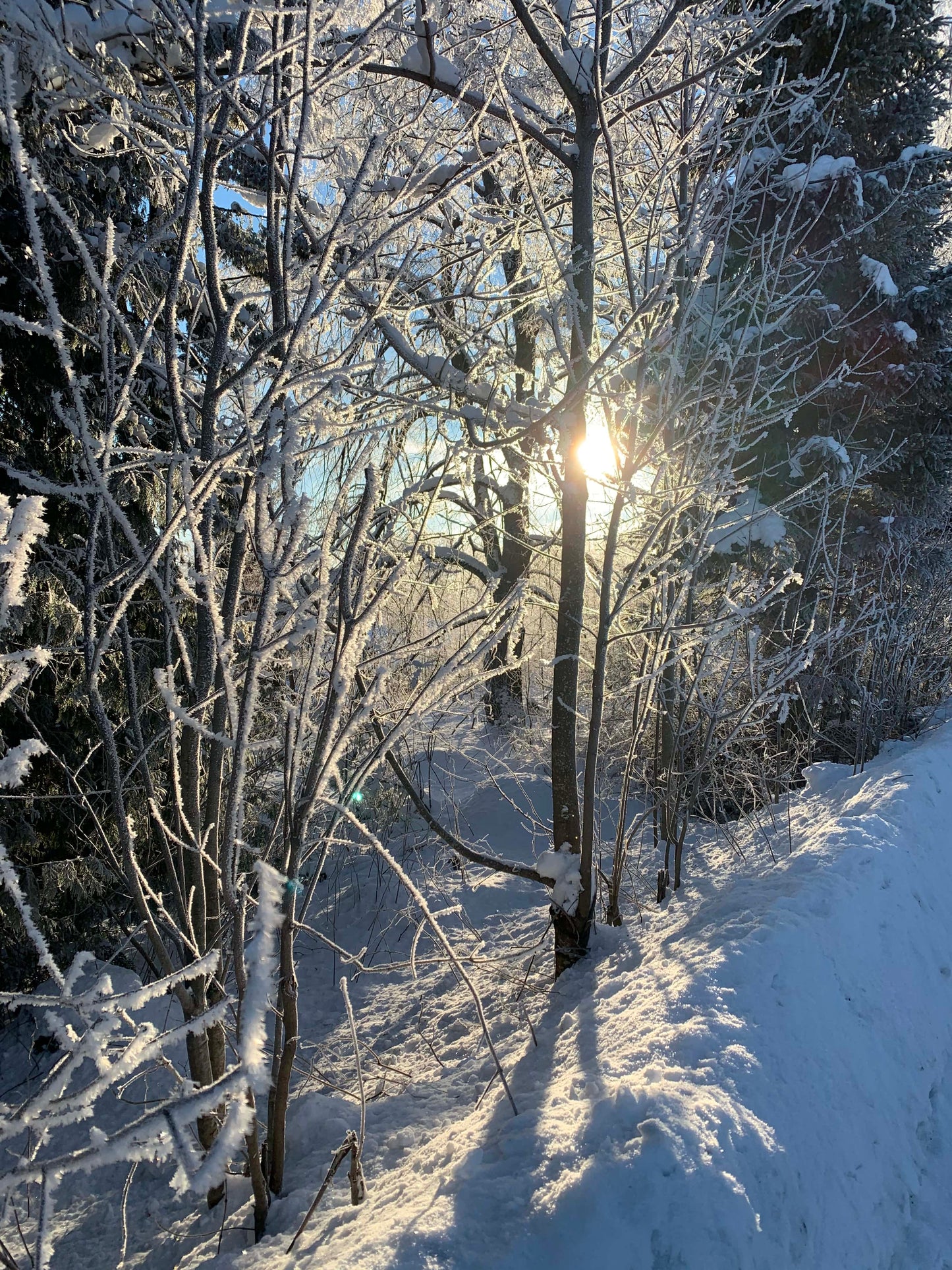 ALWAYS IN MY HEAD - Winterlovers - Strikkeoppskrift