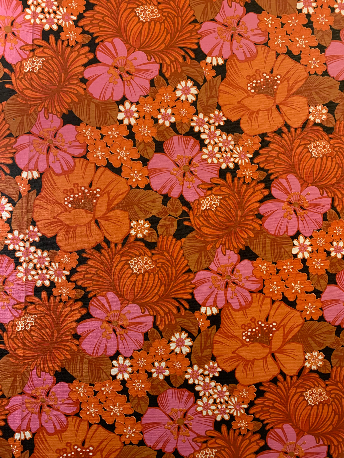 Wild Rose - The Bohemian Favourite