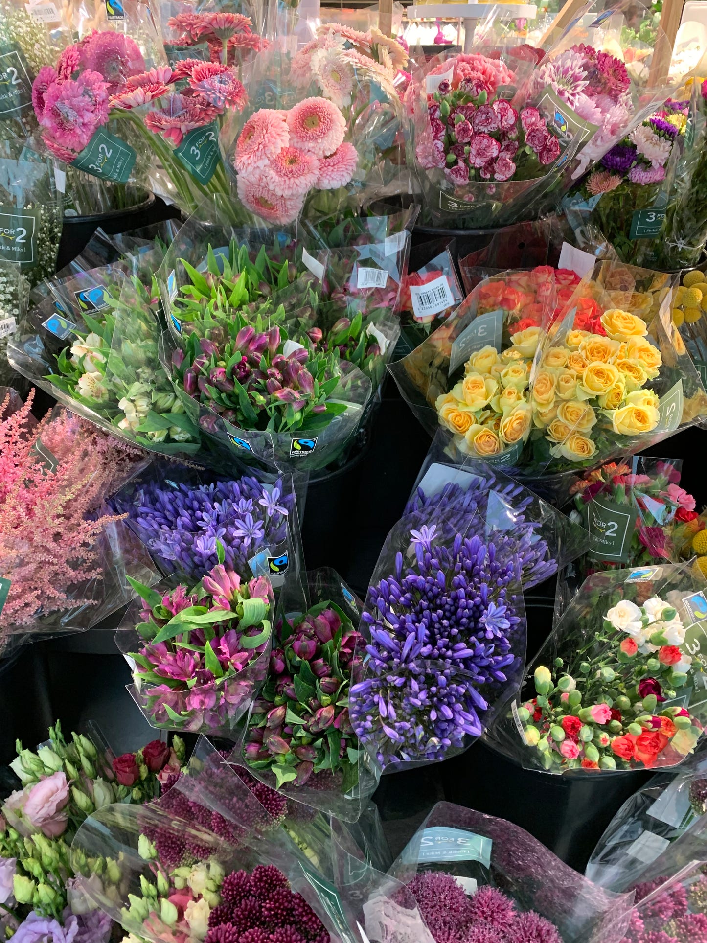 Here Comes the Sun - True Love - Strikkeoppskrift