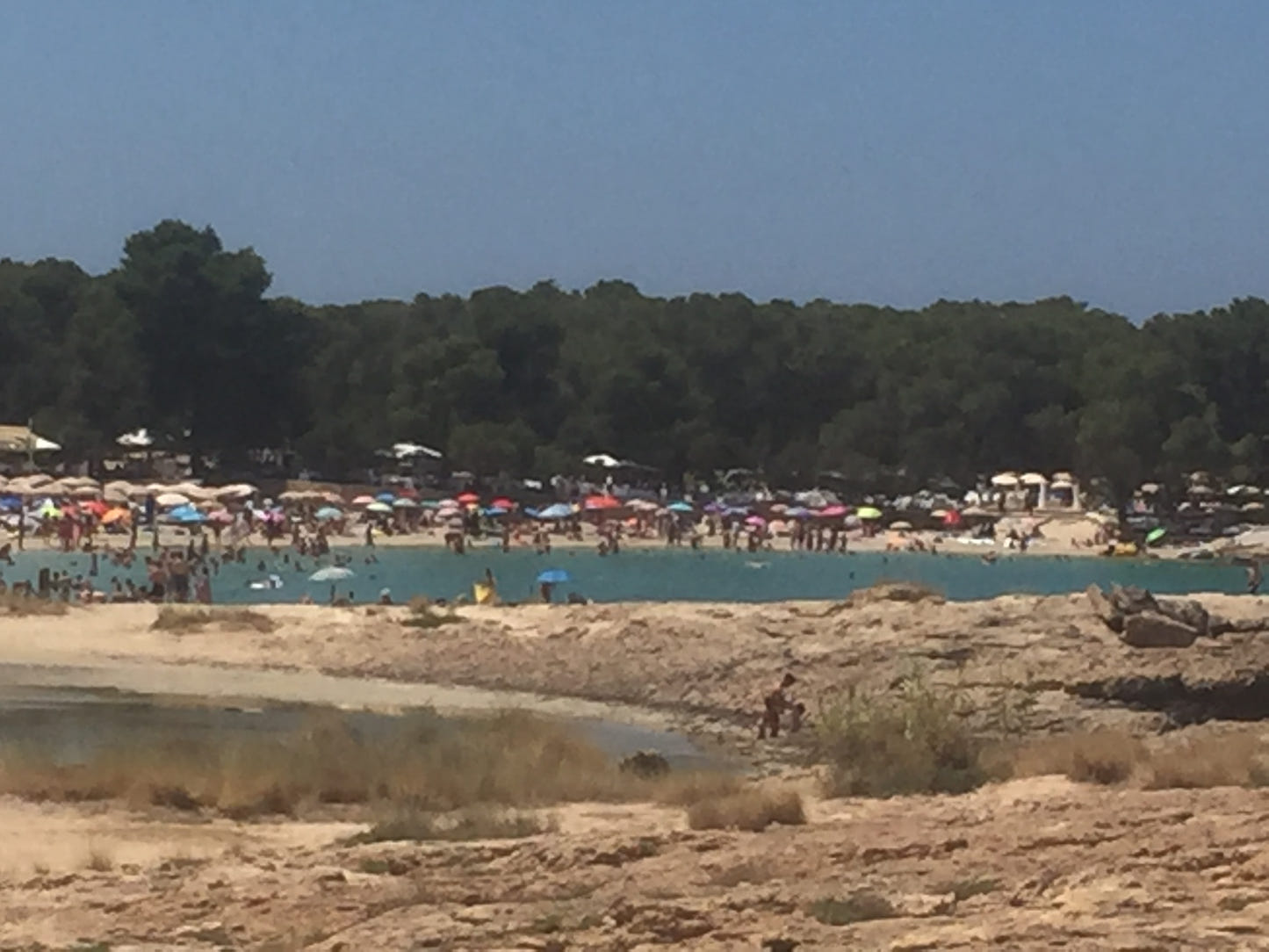 The Calla Bassas - Strikkeoppskrift