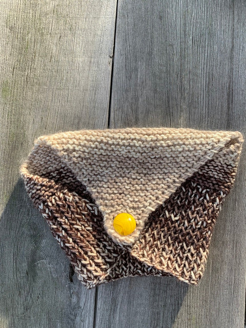 Anna's Hood Scarf – Earth Edition