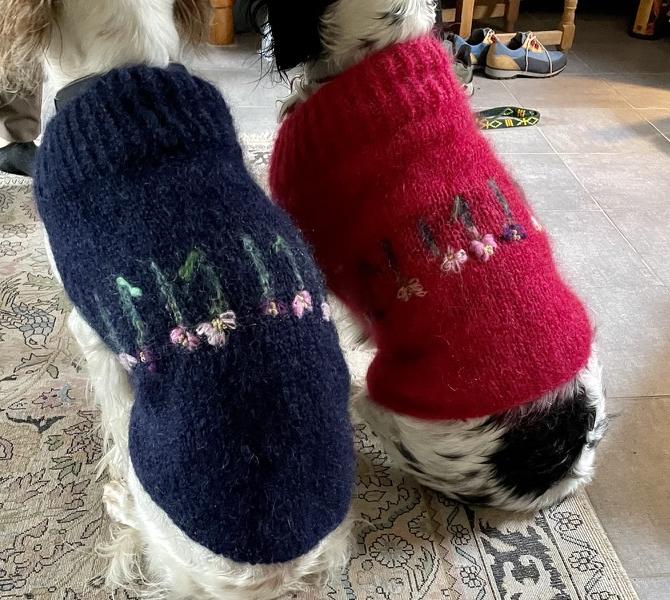 Best Friend - The Dog Sweater