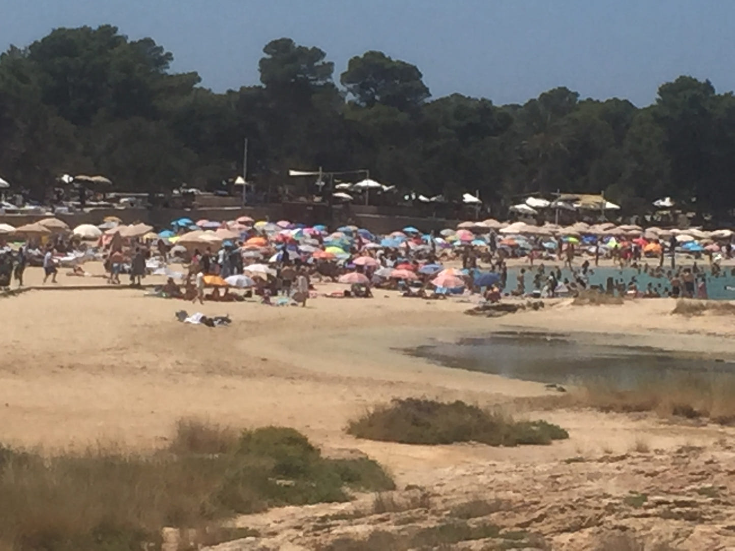 The Calla Bassas - Strikkeoppskrift