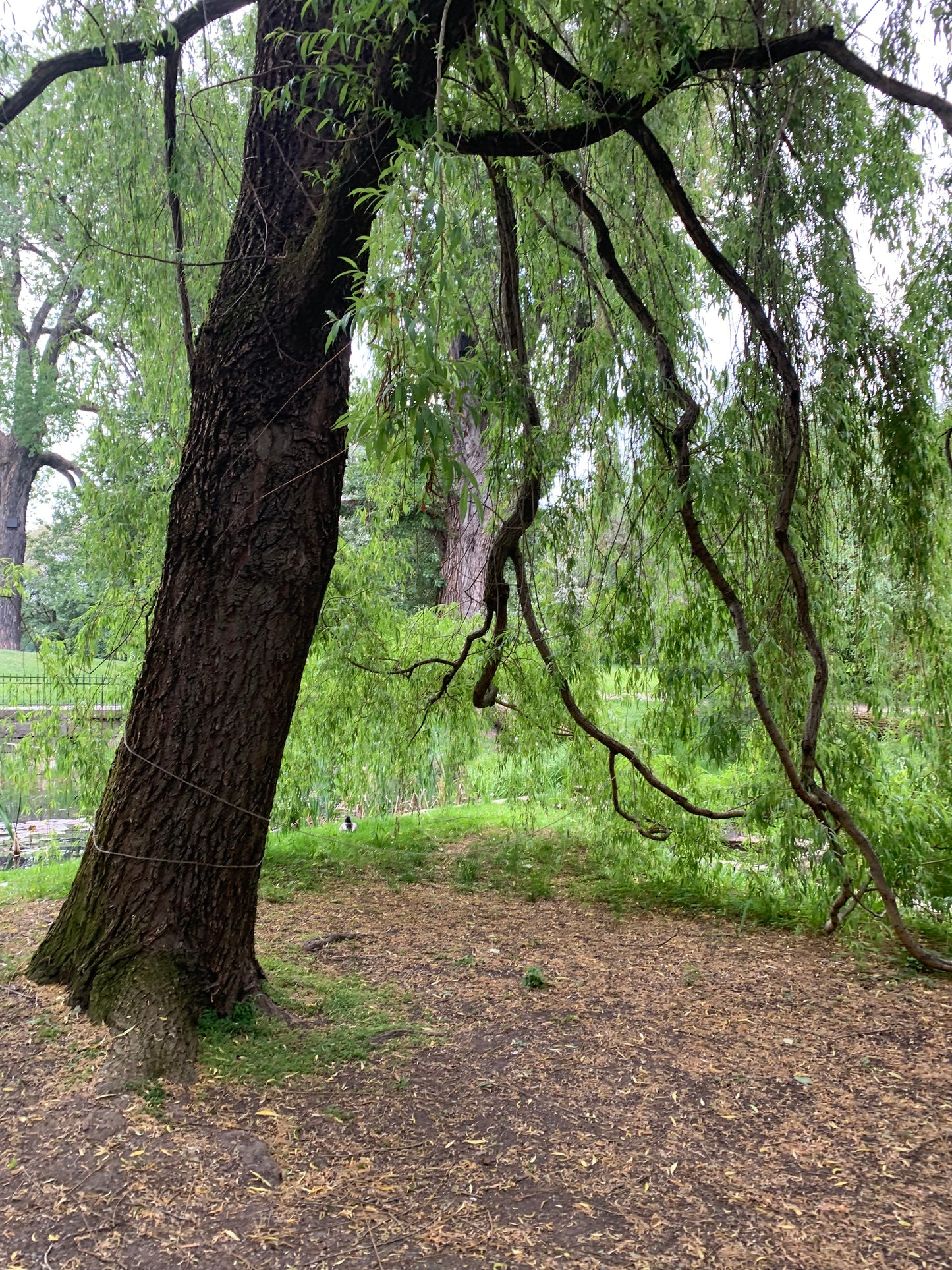 Summer in Oslo - Strikkeoppskrift