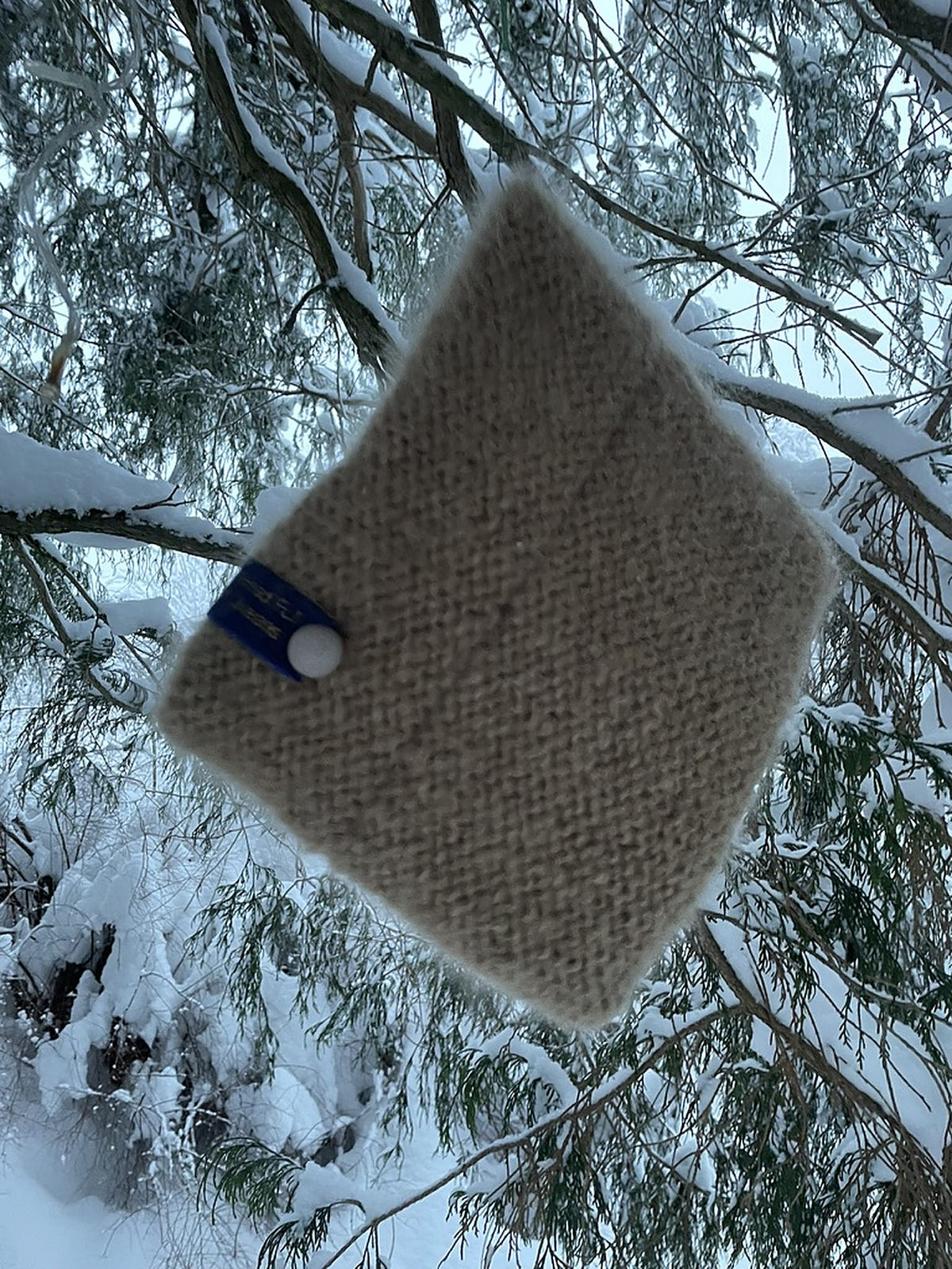 Camel - The Beanie