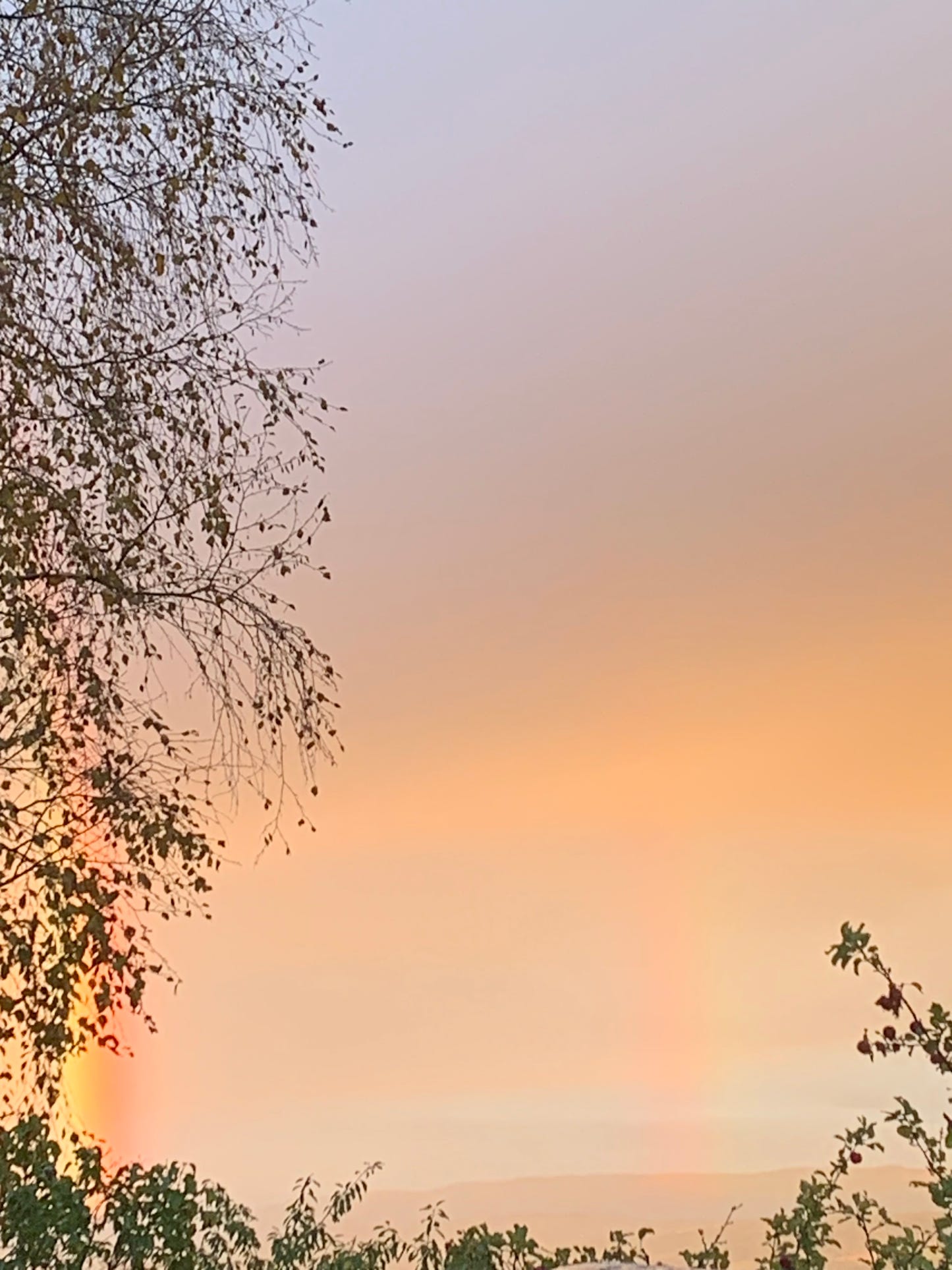 Black Lotus, Tusha Edition - knitting pattern