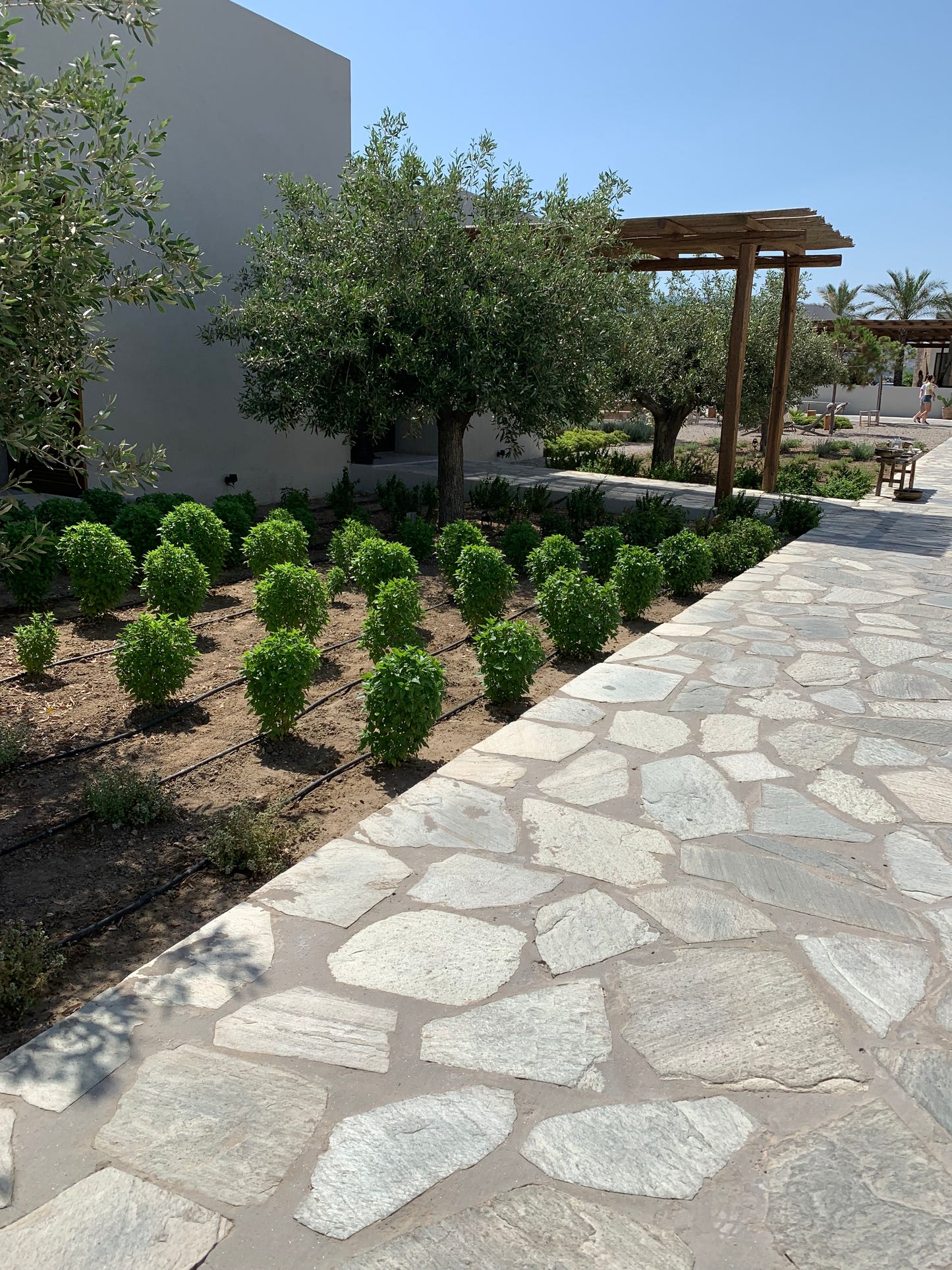 Summertime -  Strikkeoppskrift