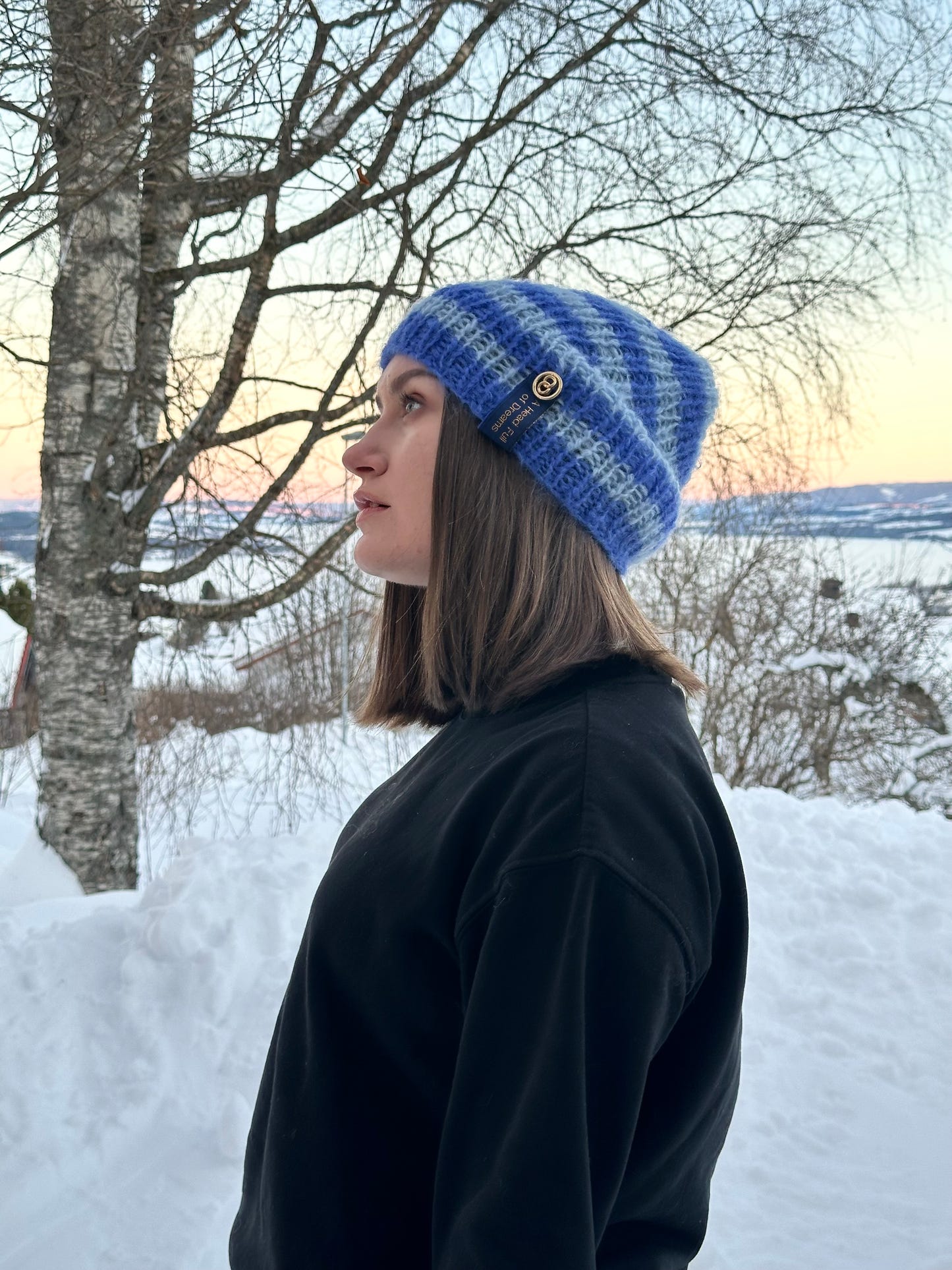 Winter Stripes