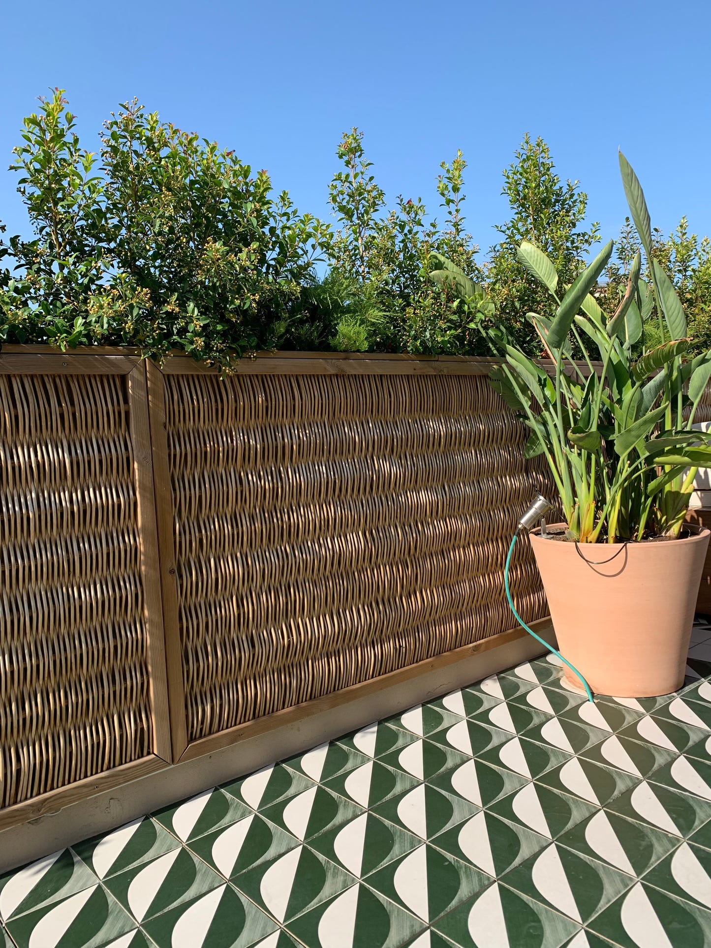 The Calla Bassas - Strikkeoppskrift