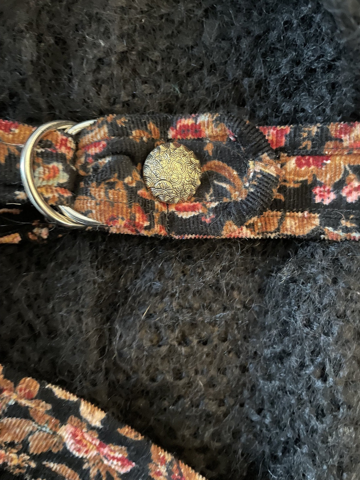 Coloratura Black · Beginner Edition