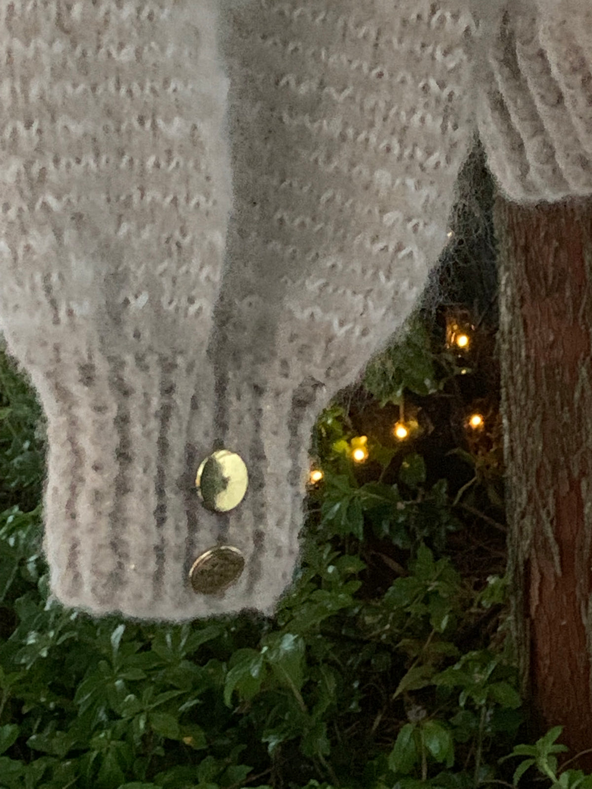 Glimpse of Glam - The Sweater