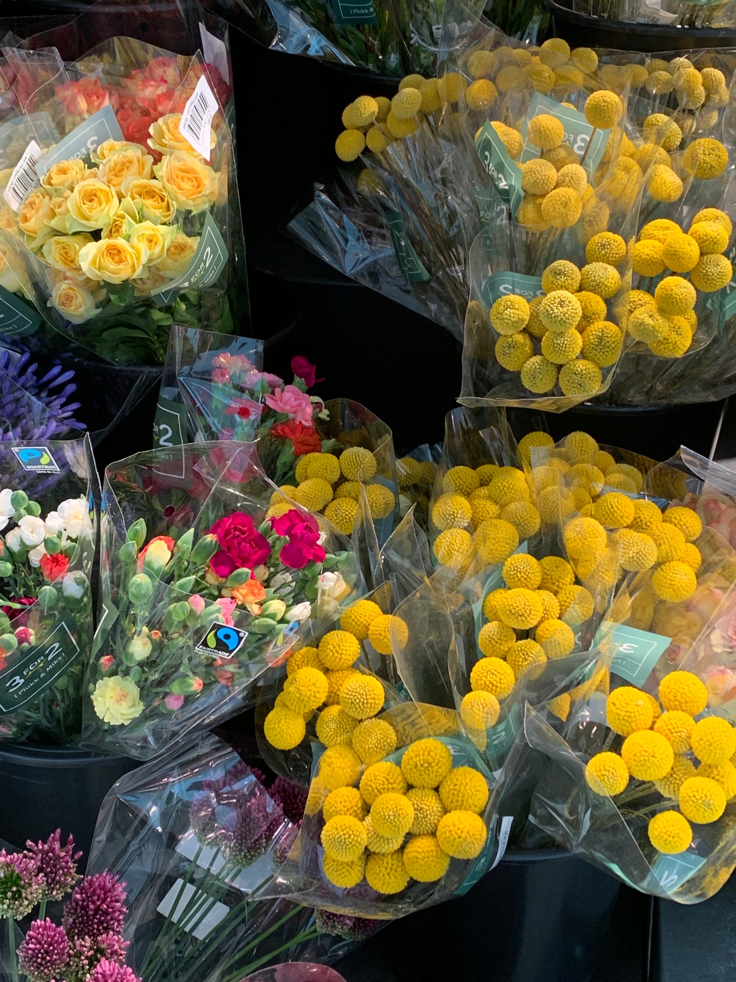 Sunrise -  Strikkeoppskrift