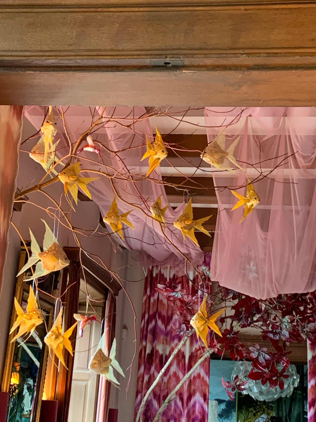 Wild Rose - The Bohemian Favourite