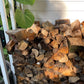 Wood