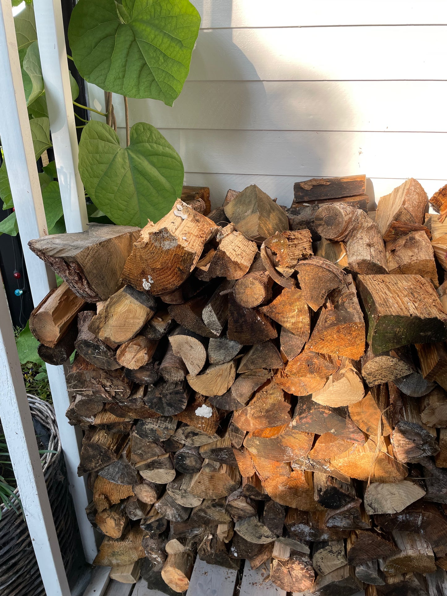 Wood