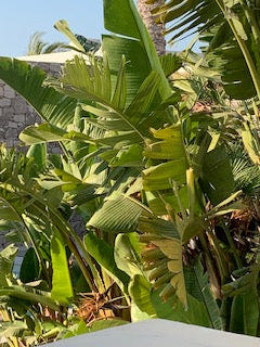 Adventure of a Lifetime - knitting pattern