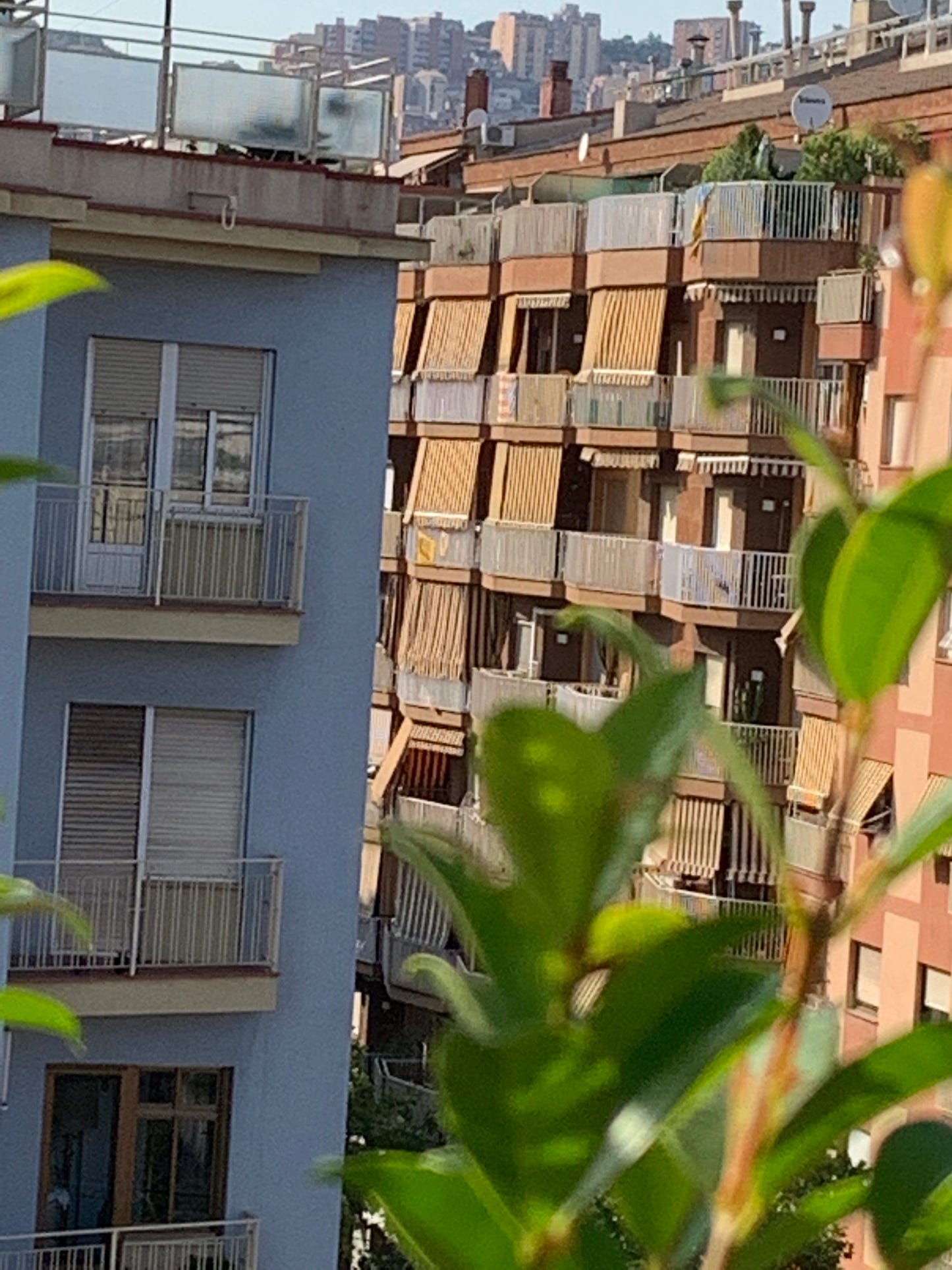 The CosyMonday Jacket - Strikkeoppskrift