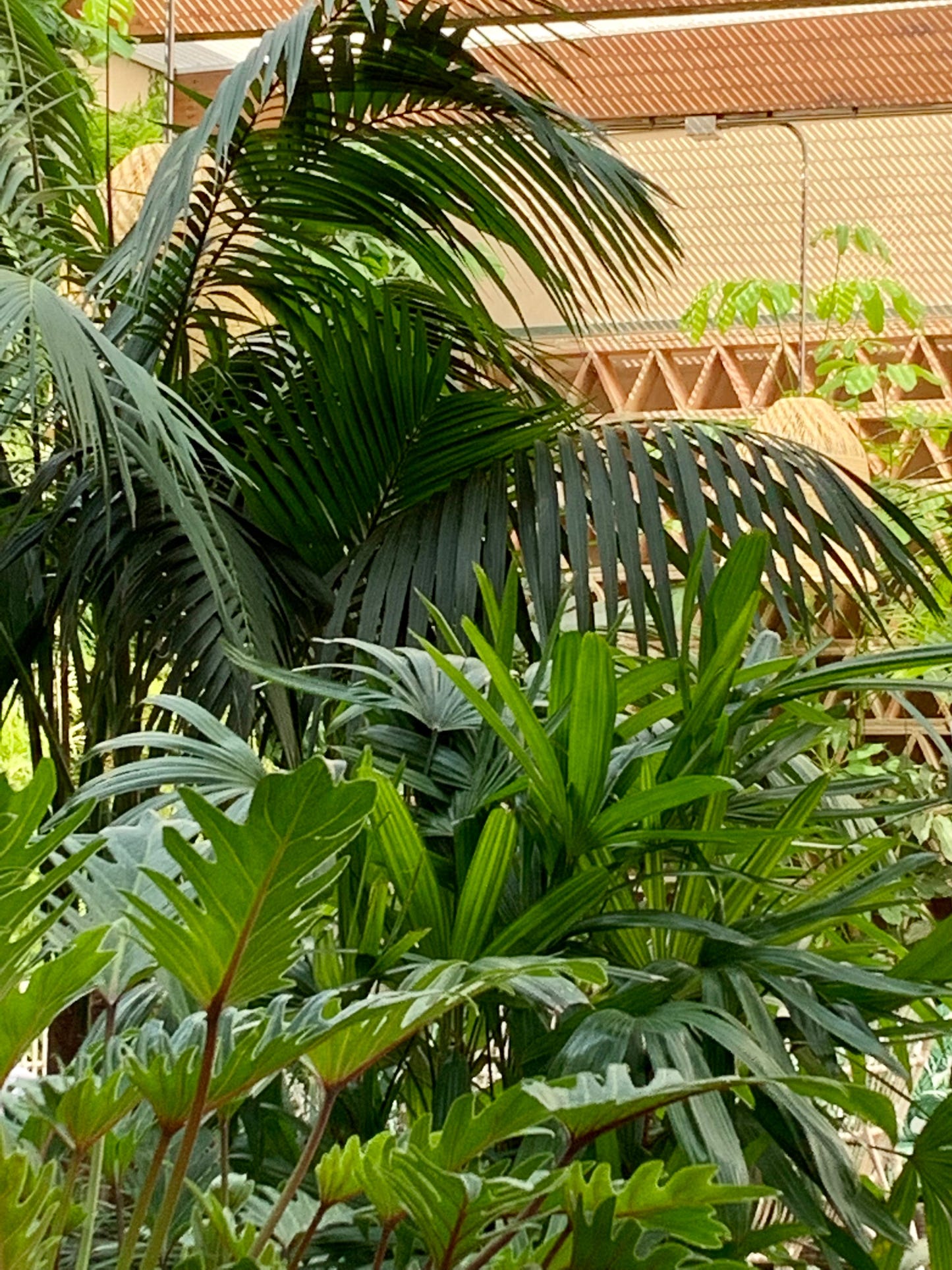 The CosyMonday Jacket - Strikkeoppskrift