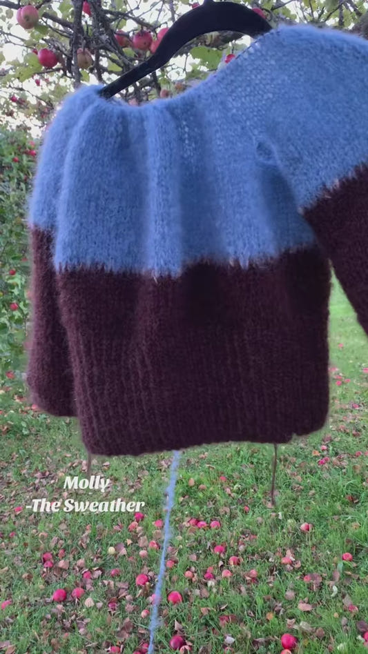 Molly - The Top