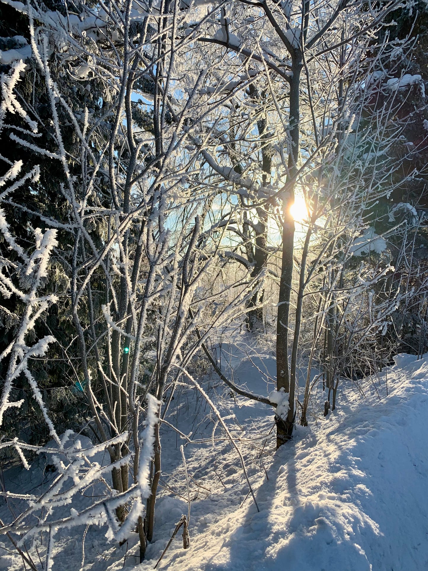 ALWAYS IN MY HEAD -  Christmas