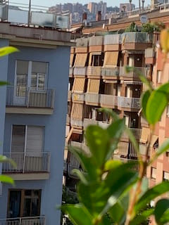 My Favorite Green fra CosyMonday - Strikkeoppskrift