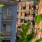 White & Yellow - Day`n`Nite