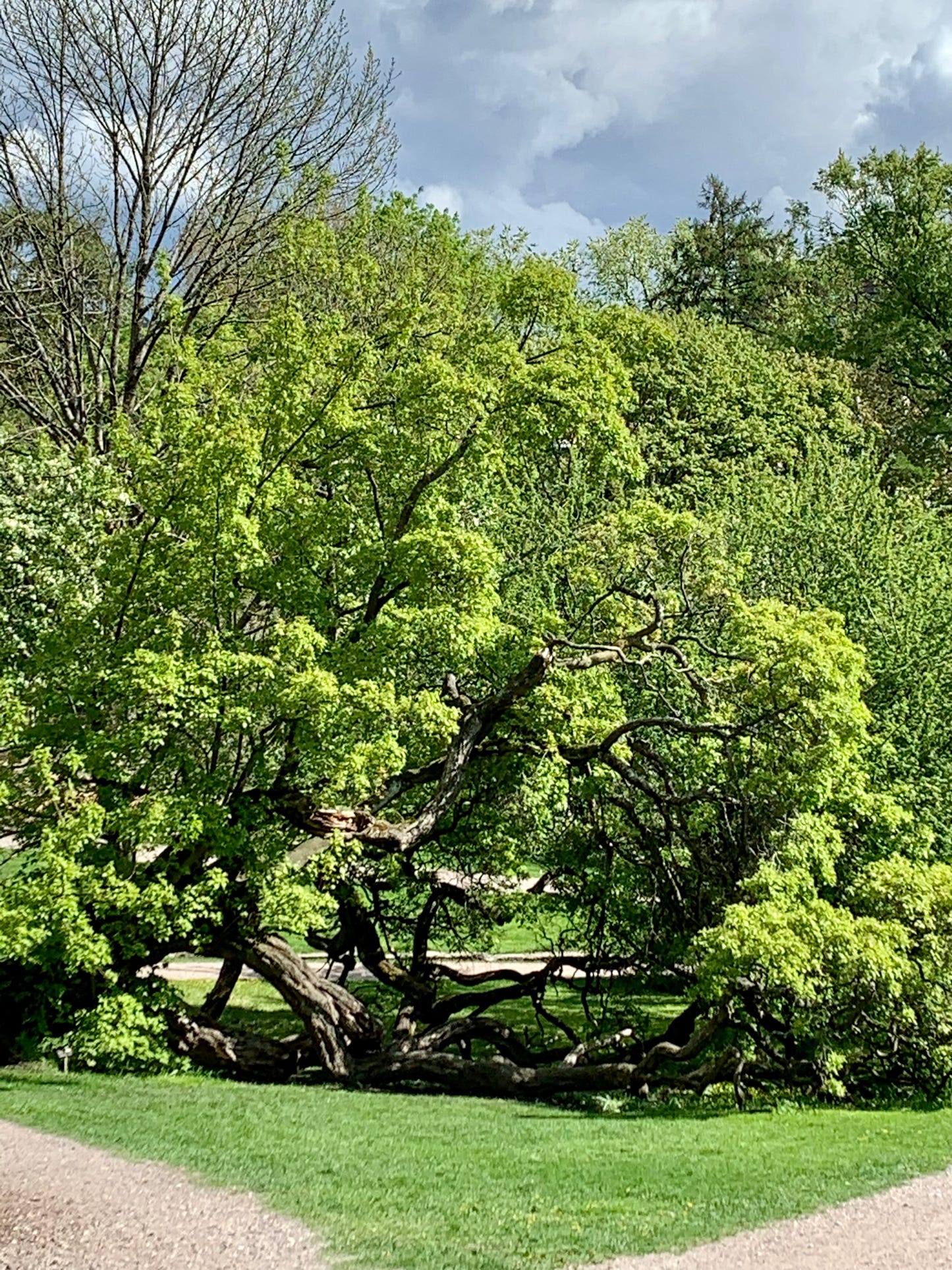 ALWAYS IN MY HEAD - Early Spring - Knitting pattern