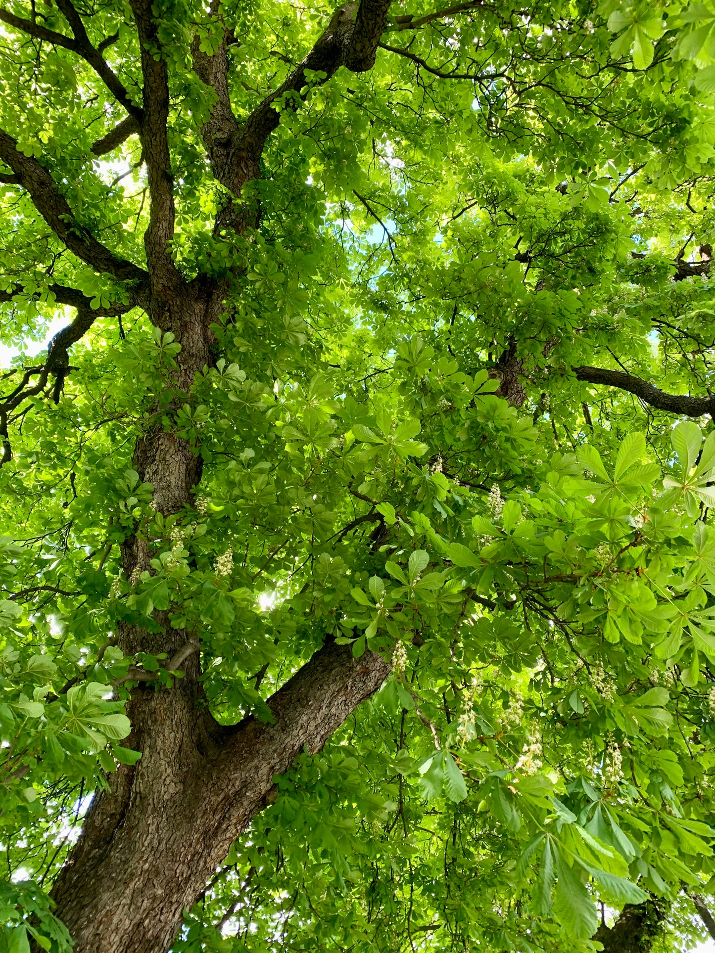 My Favorite Green fra CosyMonday - Strikkeoppskrift