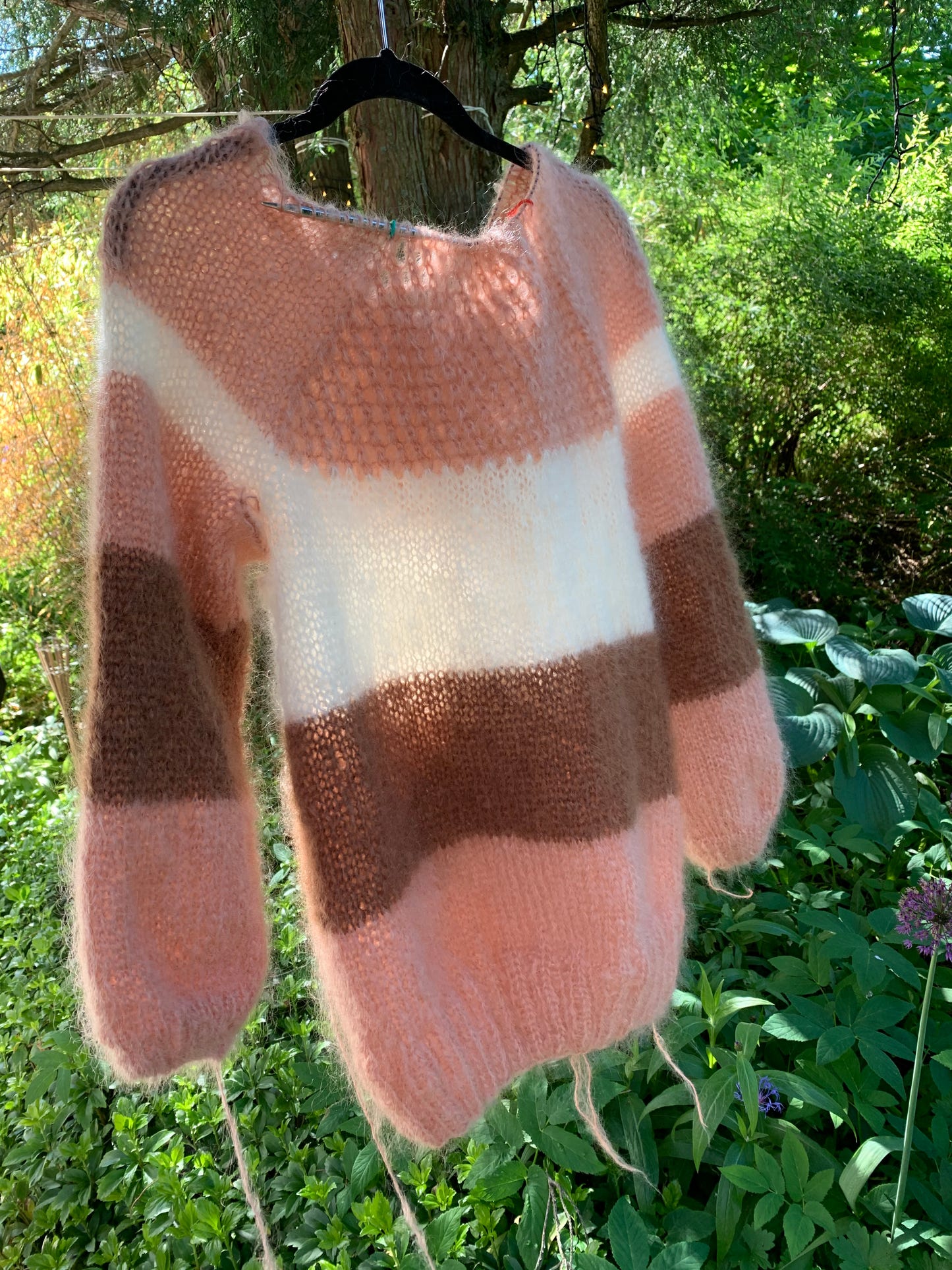 My Sweet Apricot - fra  The Scientist serien