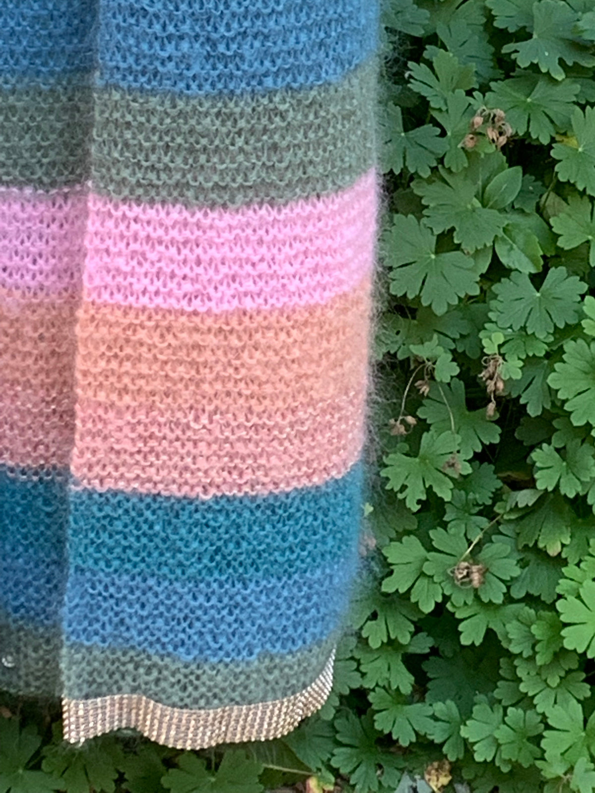 Pink & Green - Coloratura – The Jacket