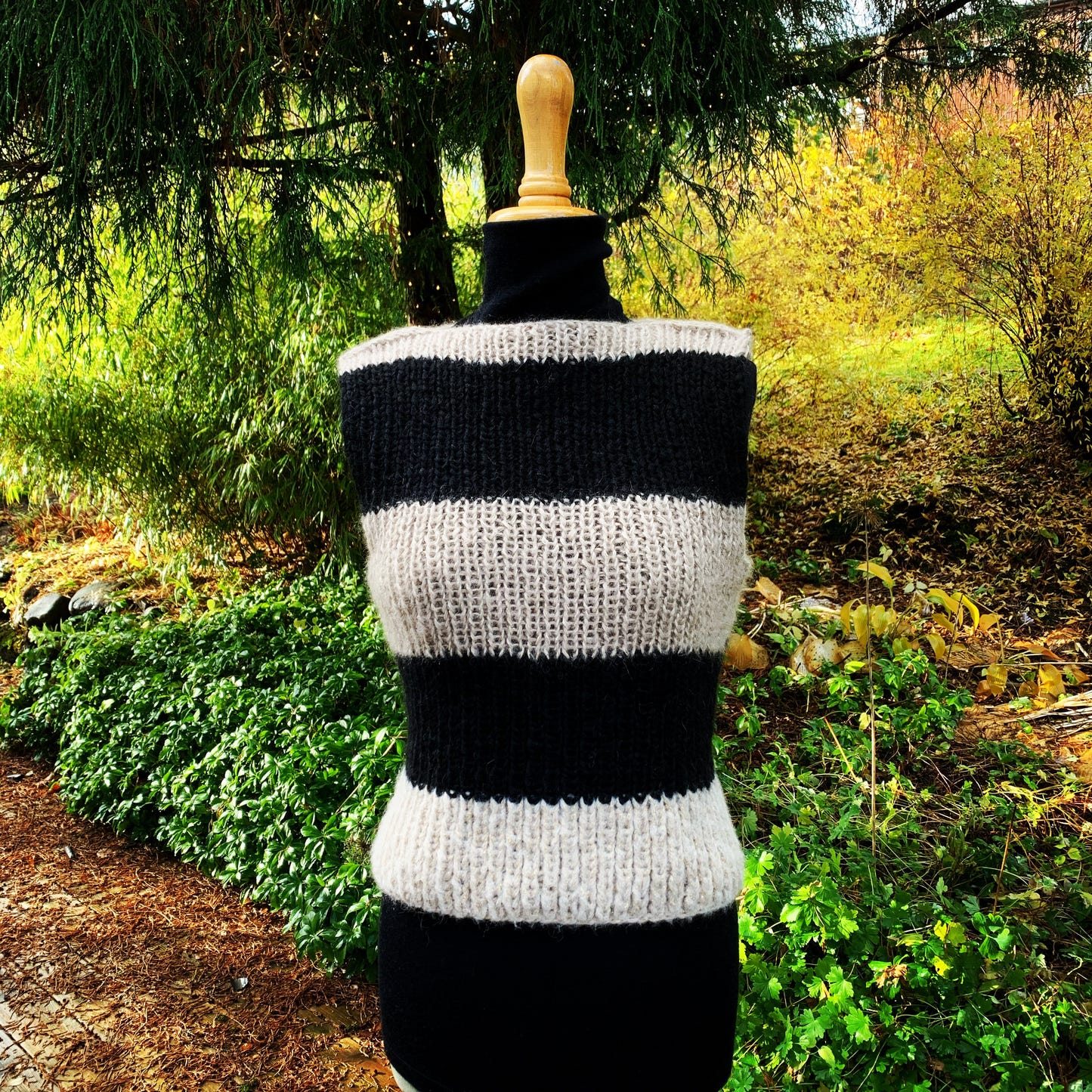 Black &; Gold, O-Reprise