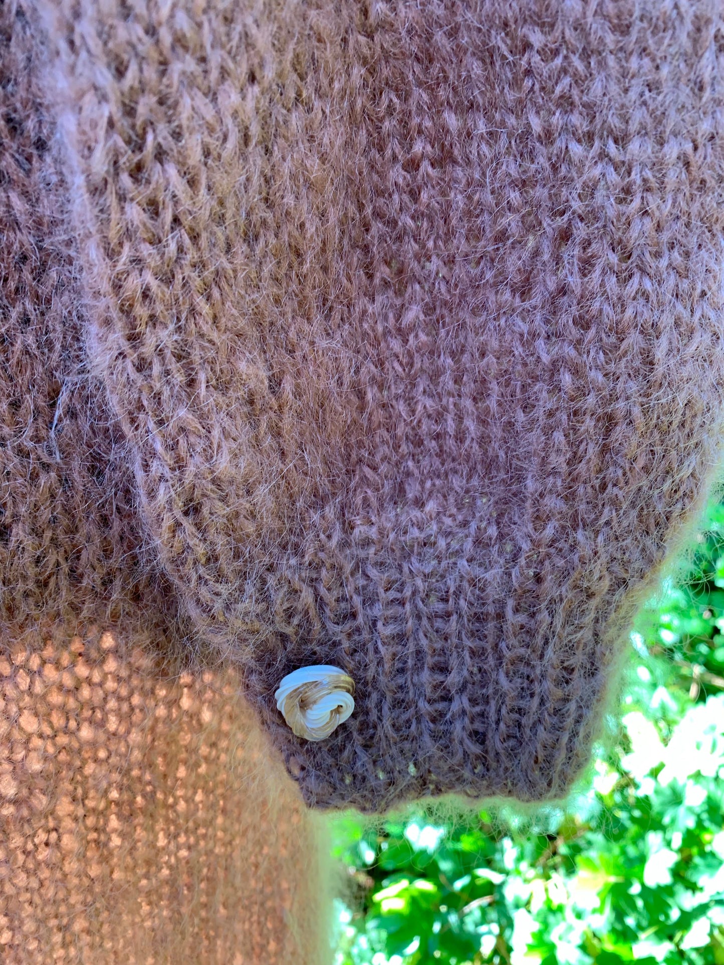 Star  ✨ - Se min kjole