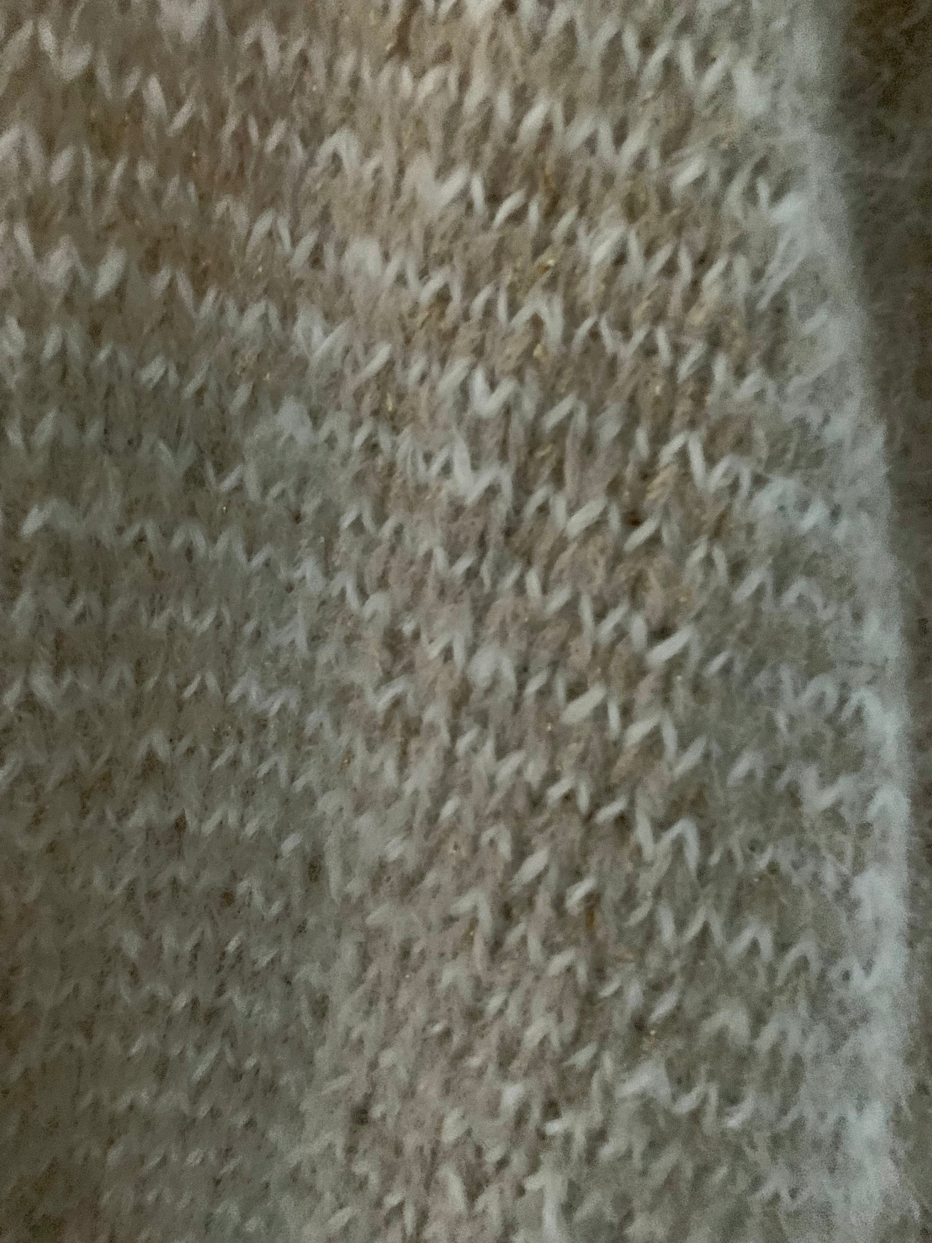 Glimpse of Glam - The Sweater