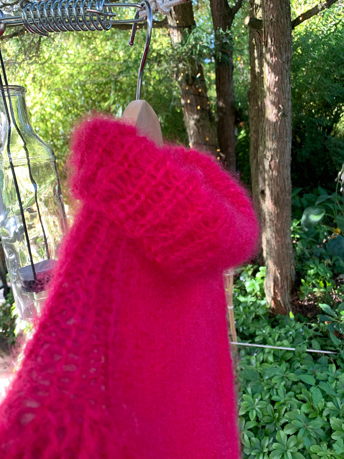 Wild Rose - The Bohemian Favourite