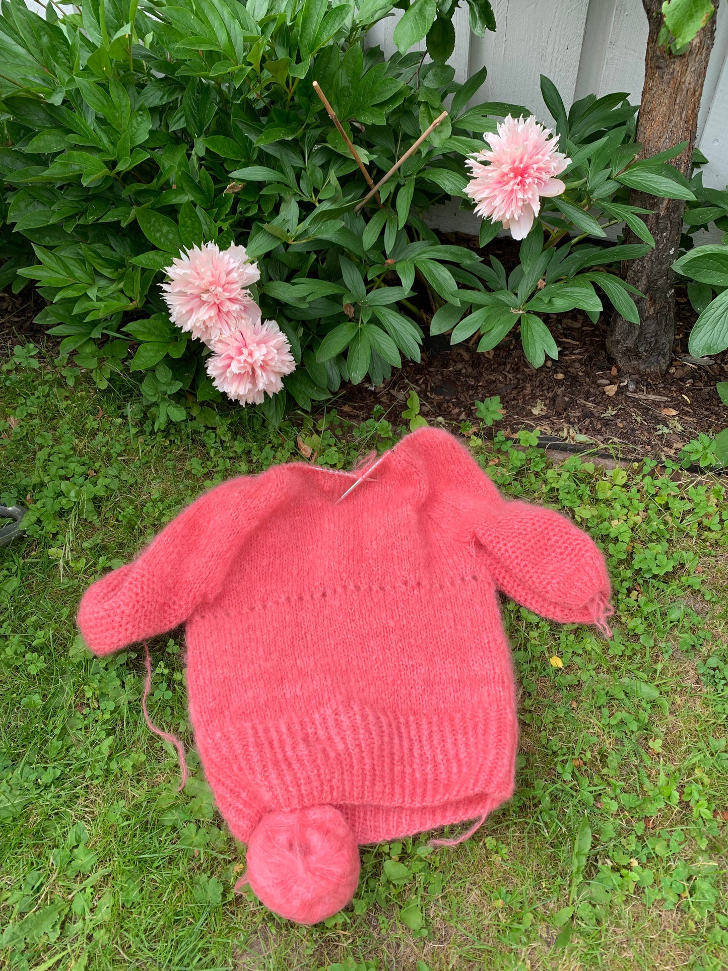 Strawberry - Mylo Xyloto - Knitting pattern